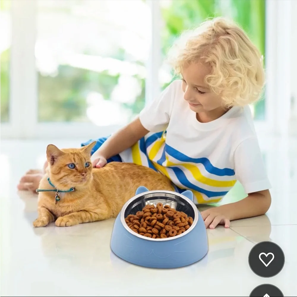 New -Black 200ML SMALL Raised Cat Bowls, Tilted Stainless Steel Cat Food…